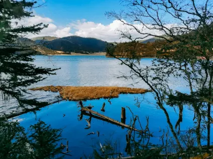 WagonBet Casino Aplicación móvil